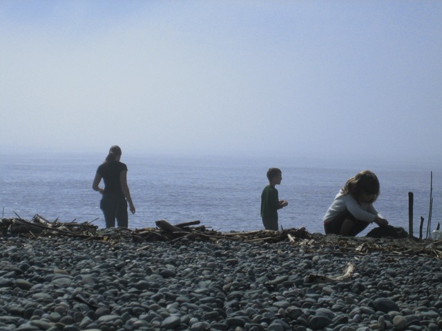 Image of family who know how to enjoy a beach, look for shells, skip stones, watch the waves