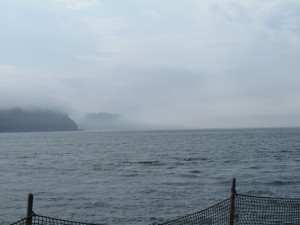 Headland lost in the fog, seen from Mukilteo ferry