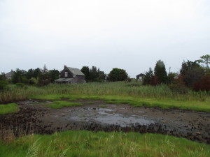 House in the marsh, Marshfield, Massachusets