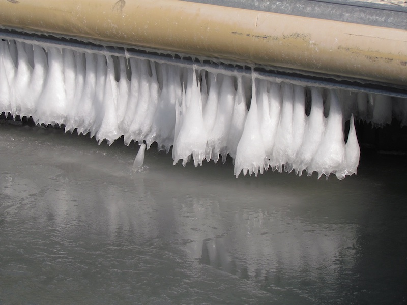 ice bats