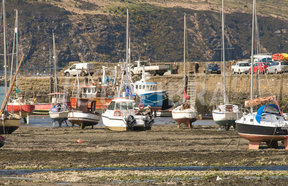 Image of boats at low tide lower fishguard wales