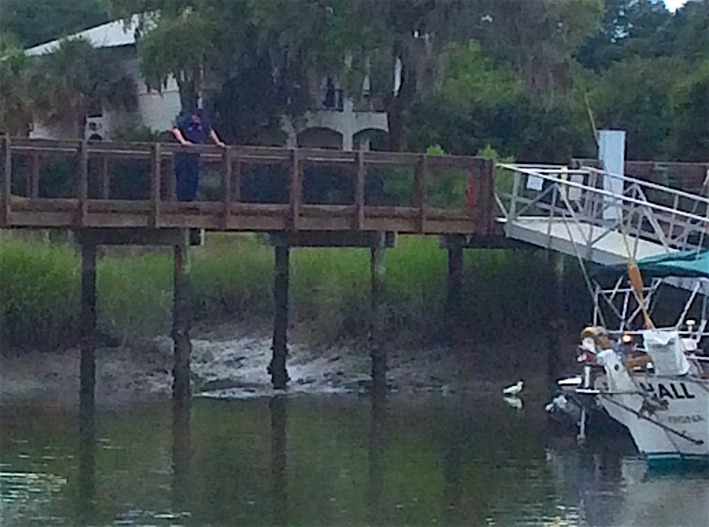 coast guard officer watches egret fishing after an oil spill