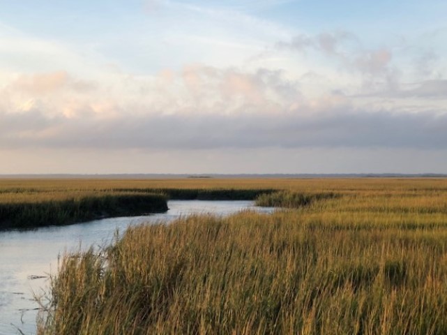 A view across marsh near Hunting Island State Park