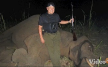 Image of hunter with dead elephant, humans, a troublesome species