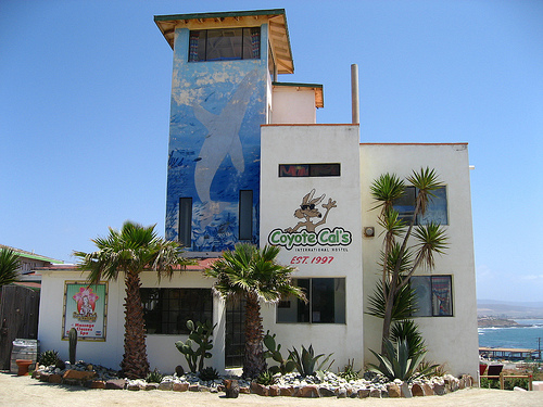 Image of Coyote Cal's - Mexican hostel with whale mural on the look out tower and surfing lessons in the ocean nearby