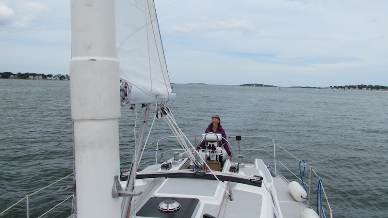 heading in under sail Sunshine heading back to port under sail