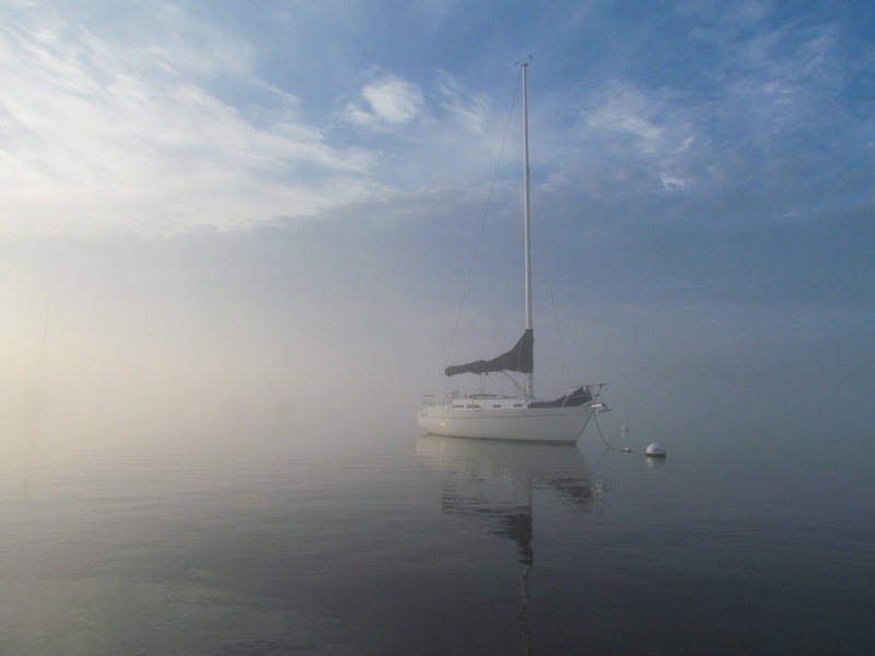 Sunshine Little Harbor Fog