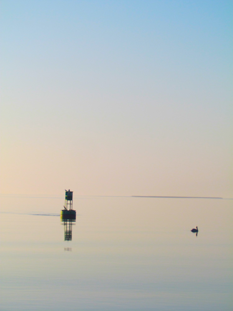 channel marker buoy and pelican at dawn on the ICW