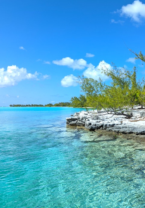 rocky reef showing through the clear turqoise waters of The Bahamas.