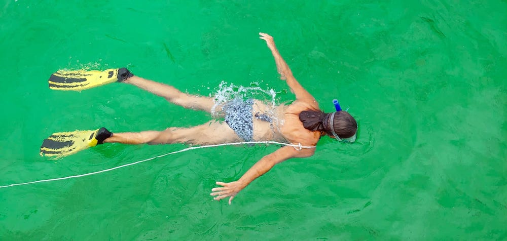Woman snorkeling on the surface of green water.